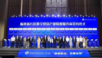 對接DEPA關系協定，推動數字經濟開放發展——“數貿聯動，互惠全球”跨境數字貿易全球伙伴會議在臨港成功舉辦